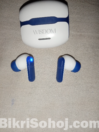Wisdom AIR Wireless Earbuds